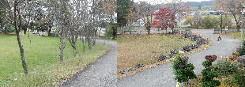 樹木の伐採