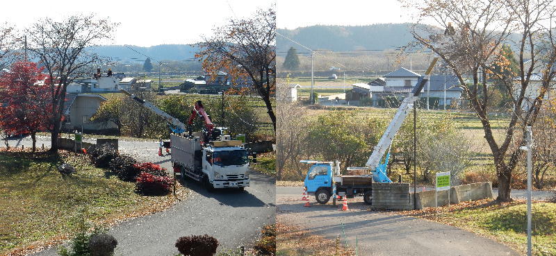 環境整備樹木の伐採